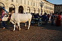 S. Giovanni 2010 - Corteo Storico_037